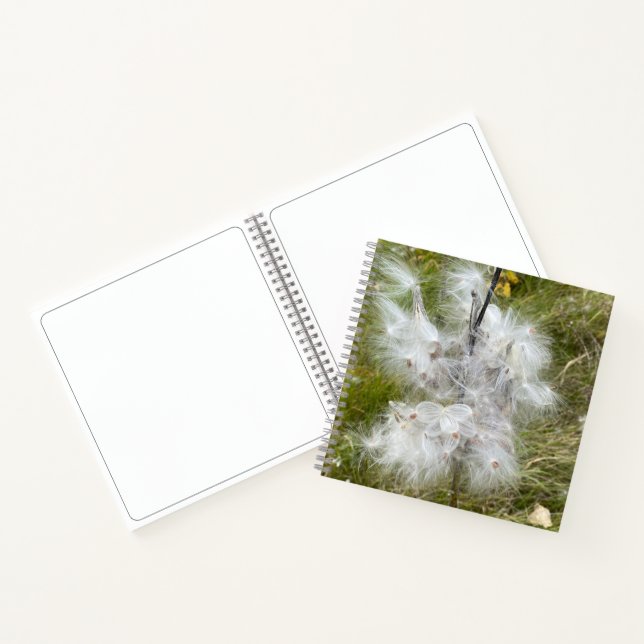 Cuaderno Milkweed | Mariposa | Esbozo (Interior)