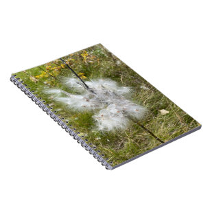 Cuaderno Milkweed Mariposa Espiral