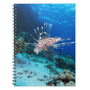 Cuaderno Millas de Lionfish o Pterois, peces de arrecifes o