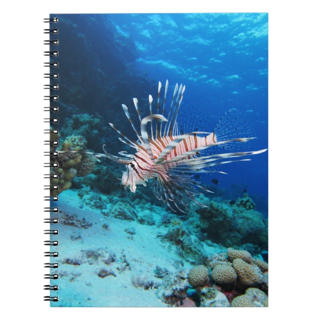 Cuaderno Millas de Lionfish o Pterois, peces de arrecifes o (Frente)