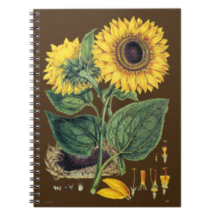 Cuaderno Miller: Girasol
