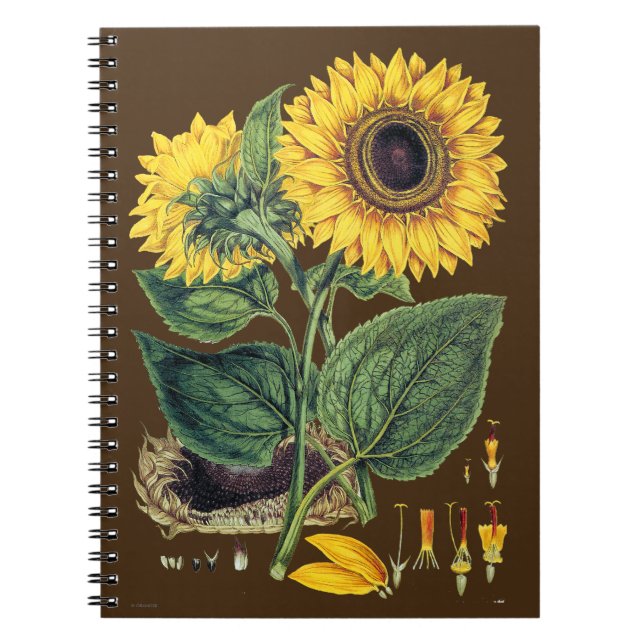 Cuaderno Miller: Girasol (Frente)