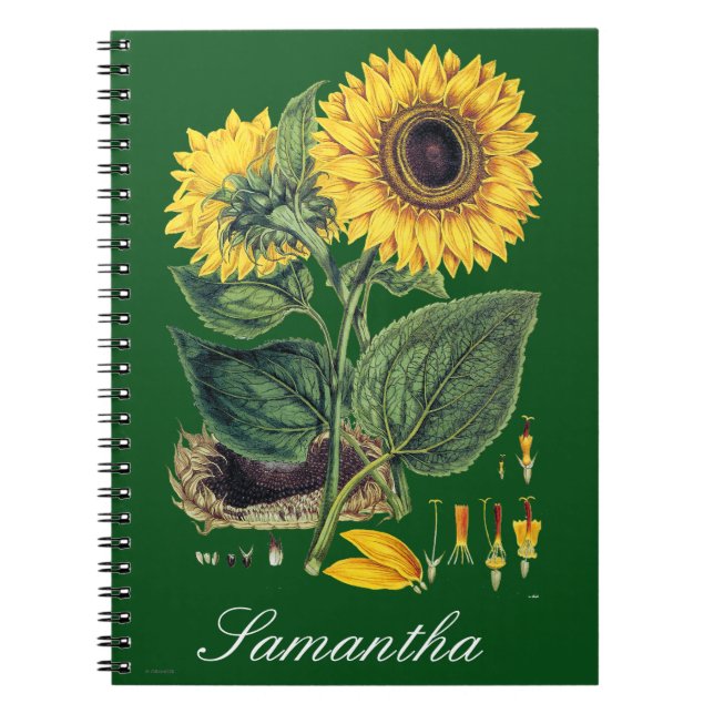 Cuaderno Miller: Girasol (Frente)