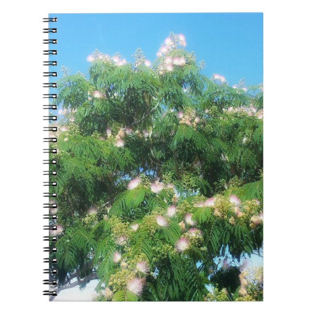 Cuaderno Mimosa Tree Notebook (Frente)