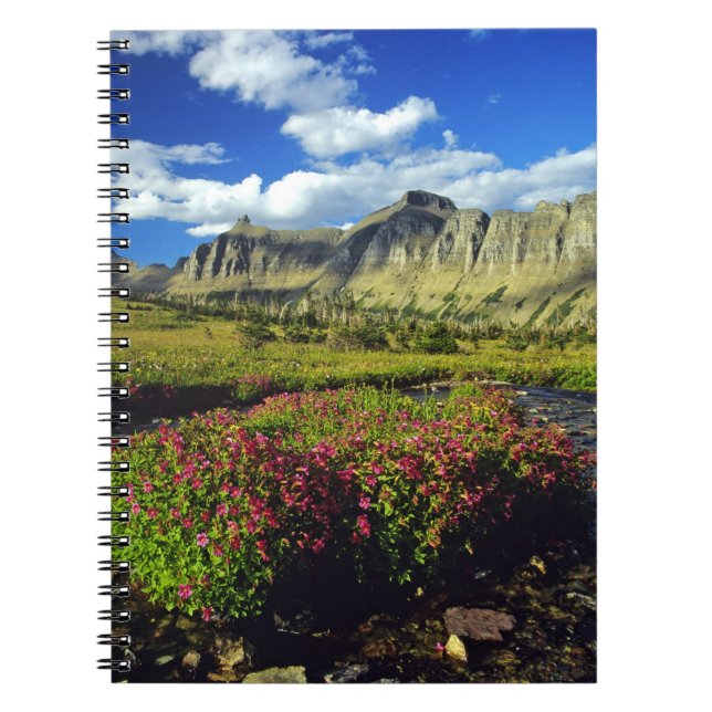 Cuaderno Mimulus de Logan Pass en Glacier National (Frente)