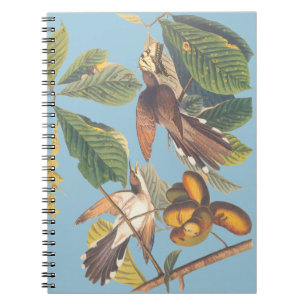 Cuaderno Mini portapapeles de Cuco amarillo Audubon