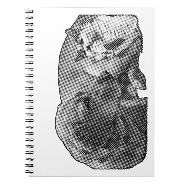 Cuaderno Minutos del rincón de paz (Frente)