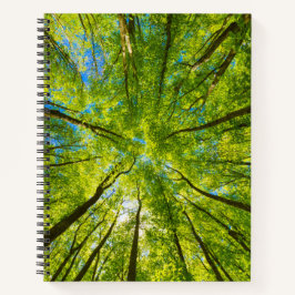 Cuaderno Mirando a través de hojas de árboles verdes