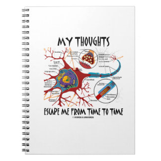Cuaderno Mis Pensamientos Escaparon De Tiempo En Tiempo Sin