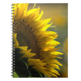 Cuaderno - Misterio del Campo de Girasoles