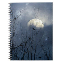 Misteriosa Noche De Las Estrellas Y Los Crows