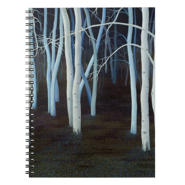 Cuaderno Místico 2004 (Frente)