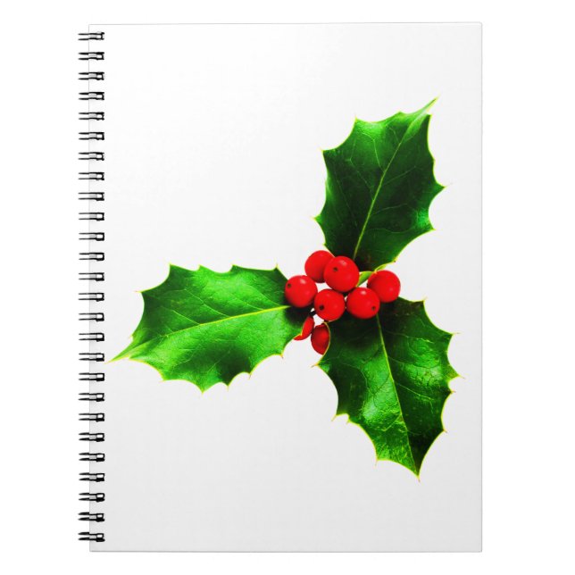 Cuaderno Mistletoe (Frente)