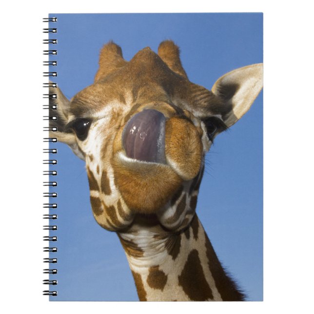 Cuaderno Mmmm Mmmmm bueno (Frente)