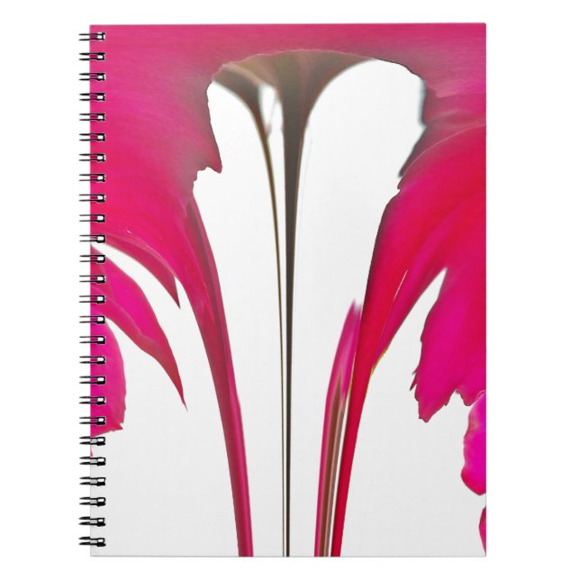 Cuaderno Moda asombrosa rosa rosa roja bajo el cielo blanco (Frente)