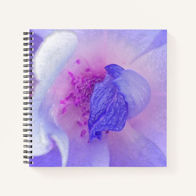 Cuaderno *~* Moda Rosa modificado digitalmente de rosa a az (Anverso)
