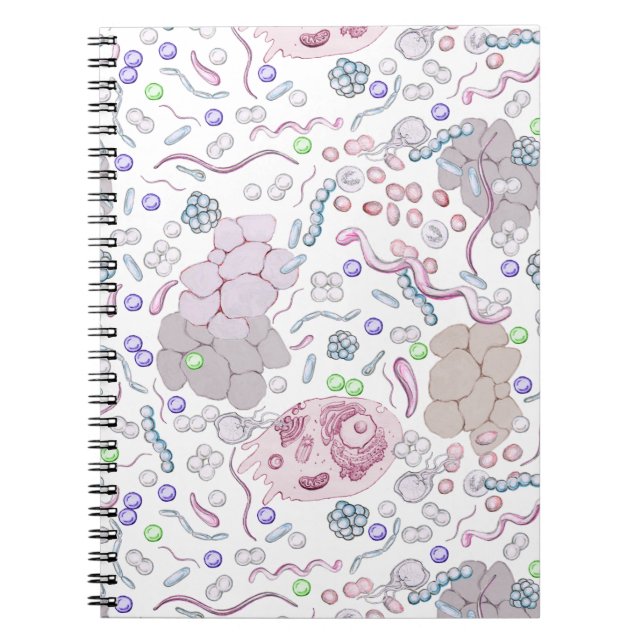 Cuaderno Modelo de la microbiología (Frente)