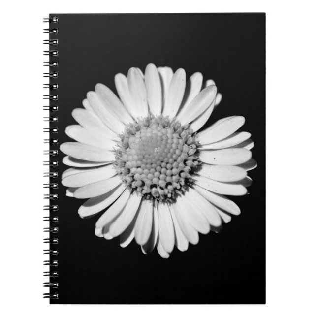 Cuaderno Moderna y elegante Flor de margarita negra y blanc (Frente)