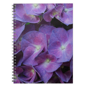 Cuaderno - modificado para requisitos particulares