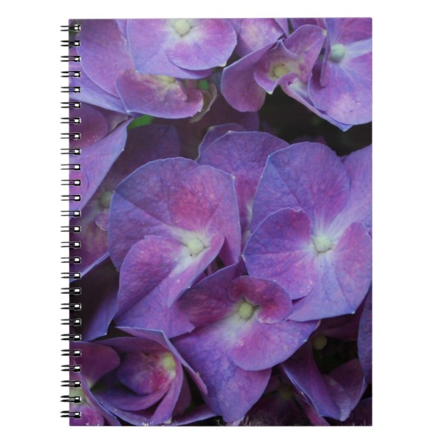 Cuaderno - modificado para requisitos particulares (Frente)