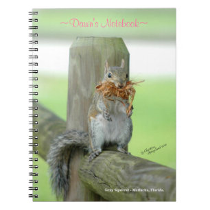Cuaderno modificado para requisitos particulares