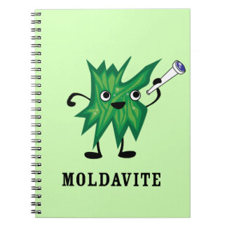 Cuaderno Moldavite