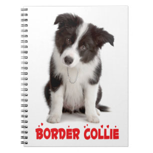 Cuaderno Mona Collie Border Blanca Negra Rescatada Madre Ca