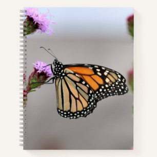 Cuaderno Monarca