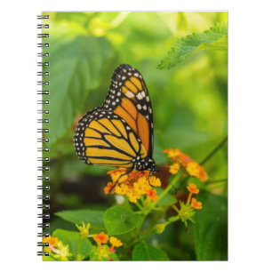 Cuaderno Monarca En Lantana