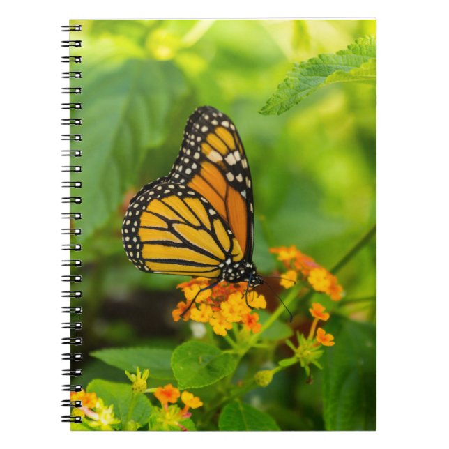 Cuaderno Monarca En Lantana (Frente)