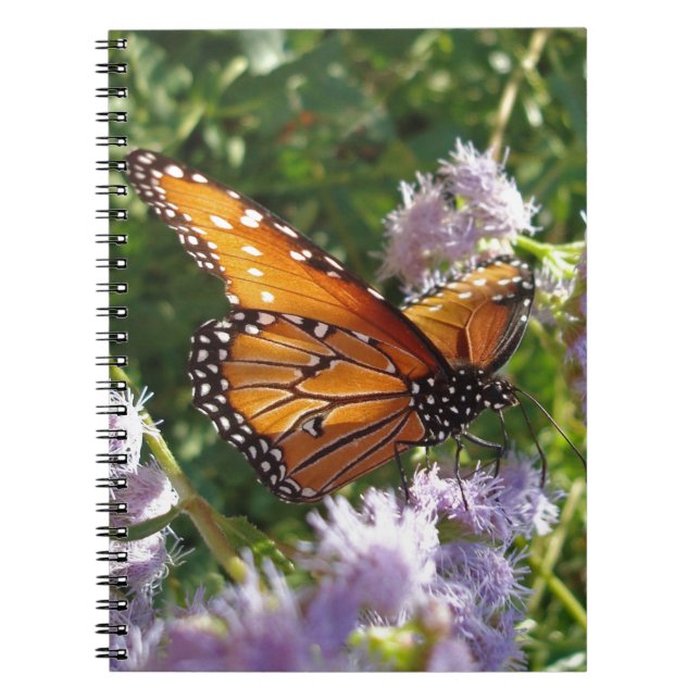 Cuaderno Monarca Mariposa Foto Naturaleza de la Flor Púrpur (Frente)