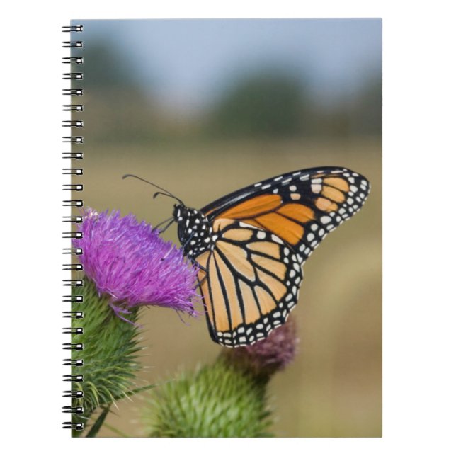 Cuaderno Monarca sobre los pastizales Thistle Prairie Ridge (Frente)