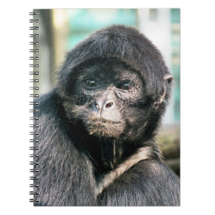 CUADERNO MONKEYS