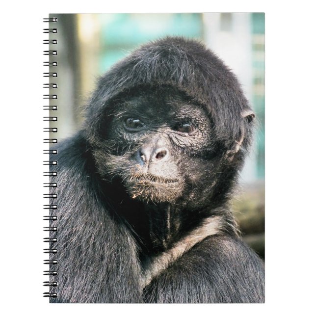 CUADERNO MONKEYS (Frente)