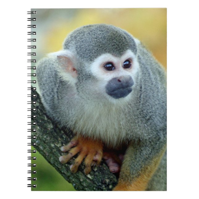 Cuaderno Mono 004 (Frente)