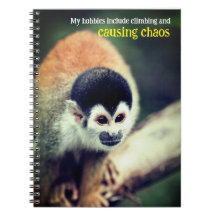 Mono ardilla en el árbol