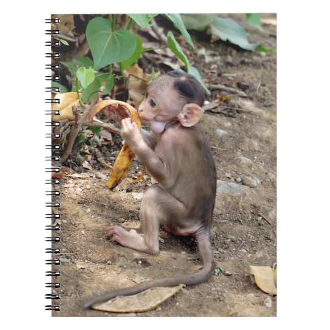 Cuaderno Mono bebé (Frente)