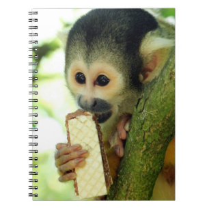 Cuaderno Mono de ardilla de bebé lindo comiendo un bizcocho