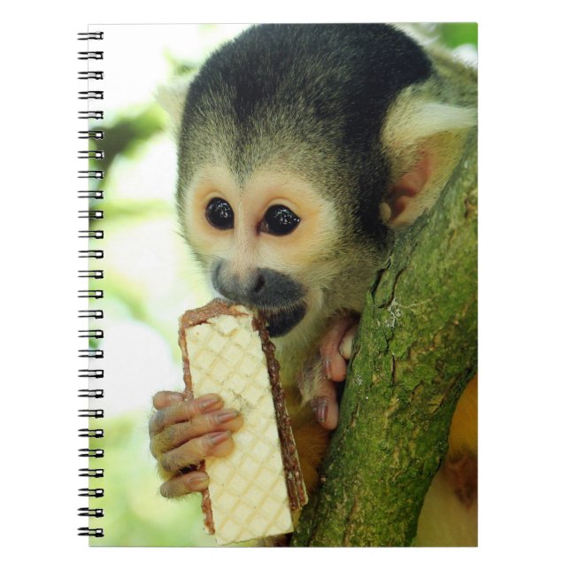 Cuaderno Mono de ardilla de bebé lindo comiendo un bizcocho (Frente)