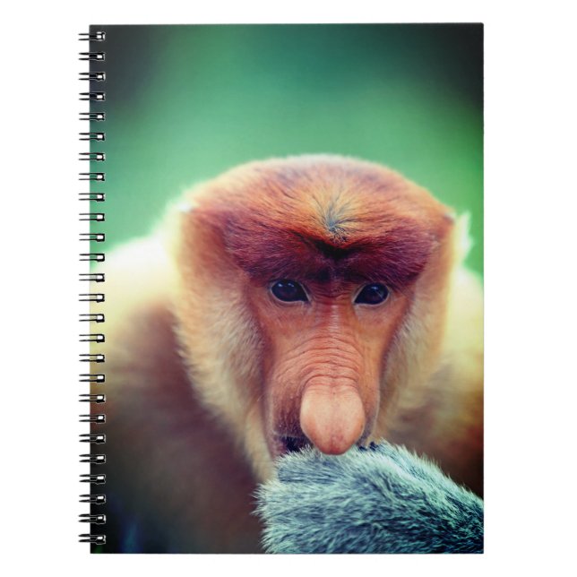 Cuaderno Mono de Proboscis en Borneo. (Frente)