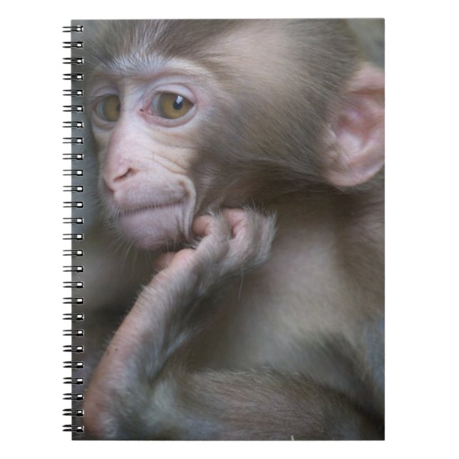 Cuaderno Mono del bebé (Frente)