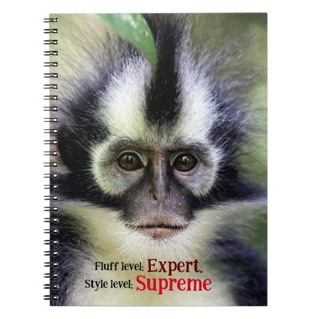 Cuaderno Mono fluffy Thomas Leaf (Frente)