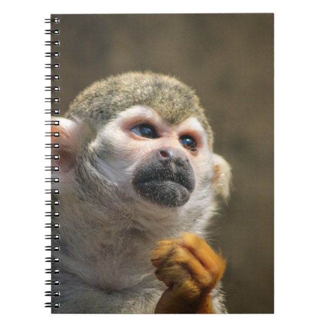 Cuaderno Mono intenso (Frente)