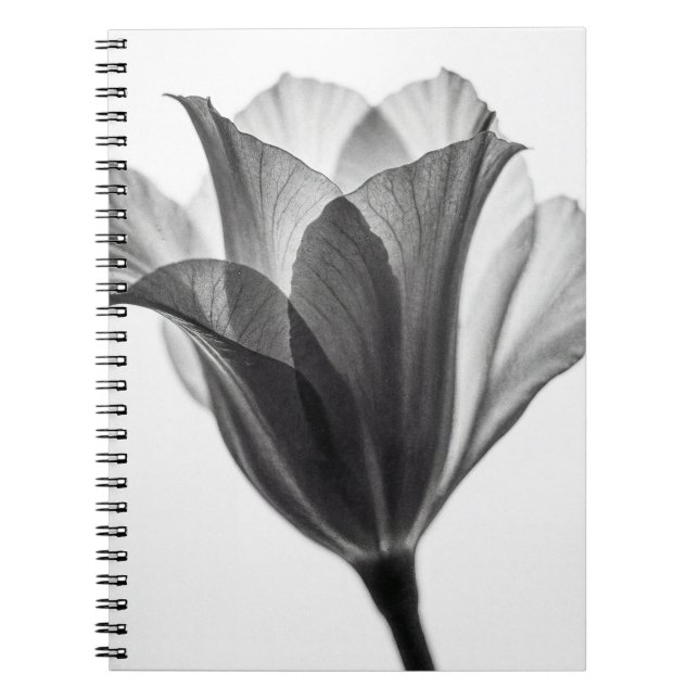 Cuaderno Monochrome botanical fine art photograph (Frente)