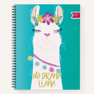 Cuaderno Monograma de ilustracion sin drama