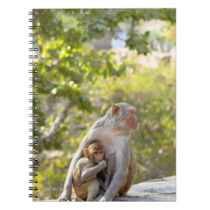 Cuaderno Monos de Macaque del macaco de la India de la