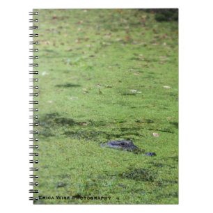 Cuaderno Monstruo del pantano