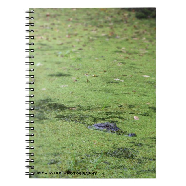 Cuaderno Monstruo del pantano (Frente)