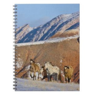 Cuaderno Montañas Big Horn, Caballos corriendo