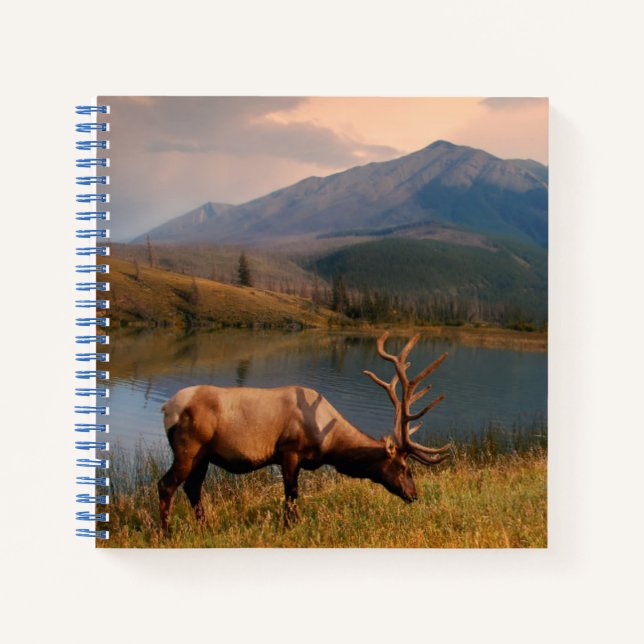 Cuaderno Montañas | Jacques Mountain Range Alberta Canadá (Anverso)